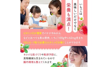 【2回定期便】いちご 紅ほっぺ 約2000g 坂田農園
