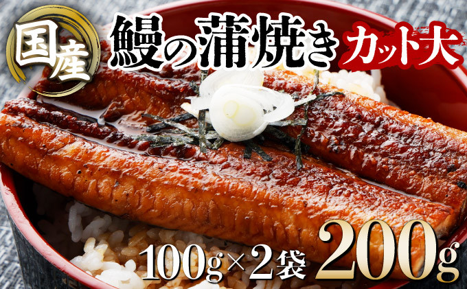 
国産うなぎカット大 合計200g（100g×2袋）ウナギ 鰻 高知県 東洋町 四国 お取り寄せ 家庭用 自宅用 贈り物 ギフト タレ・山椒付き うな重 鰻丼 うな丼 うな茶漬け 【送料無料】U009
