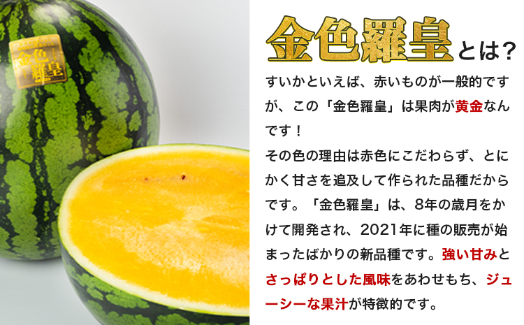【先行予約】【日付指定不可】『きよたファーム』の黄色すいか1玉 《2026年5月上旬-7月中旬頃出荷》熊本県玉名郡玉東町『きよたファーム』すいか フルーツ 果物 熊本県産 黄色
