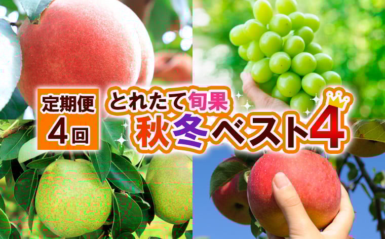 
            【定期便4回】とれたて旬果 秋冬ベスト4  【令和8年産先行予約】FS25-690 くだもの 果物 フルーツ 山形 山形県 山形市 2026年産
          