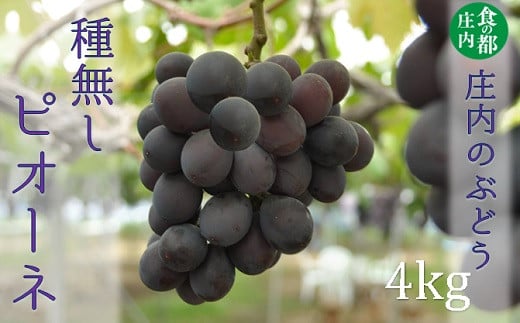 食の都庄内　庄内のぶどう【種無しピオーネ】約4kg※9月下旬～10月中旬配送