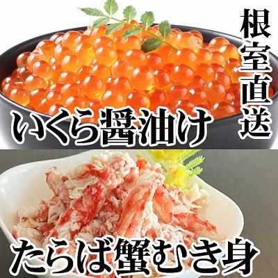 ふるさと納税 根室市 いくら醤油漬け100g・タラバガニむき身300g B-30051