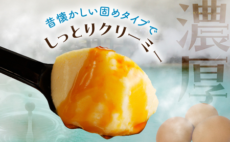 【毎月50限定】ちょっと大人のほろ苦ぷりん☆別府名物地獄蒸し！（10個入り） プリン ぷりん スイーツ 別府 地獄蒸し 地熱プリン 大分県 別府市 クリーミー ほろ苦い キャラメル おやつ デザート 