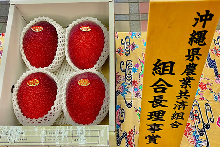 【2024年発送】【令和5年度優秀賞受賞】でーじマンゴーアップルマンゴー1kg(贈答用)