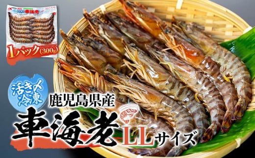 鹿児島県産 活き〆冷凍 車海老（養殖）LLサイズ 300g（10～12尾）1パック セット