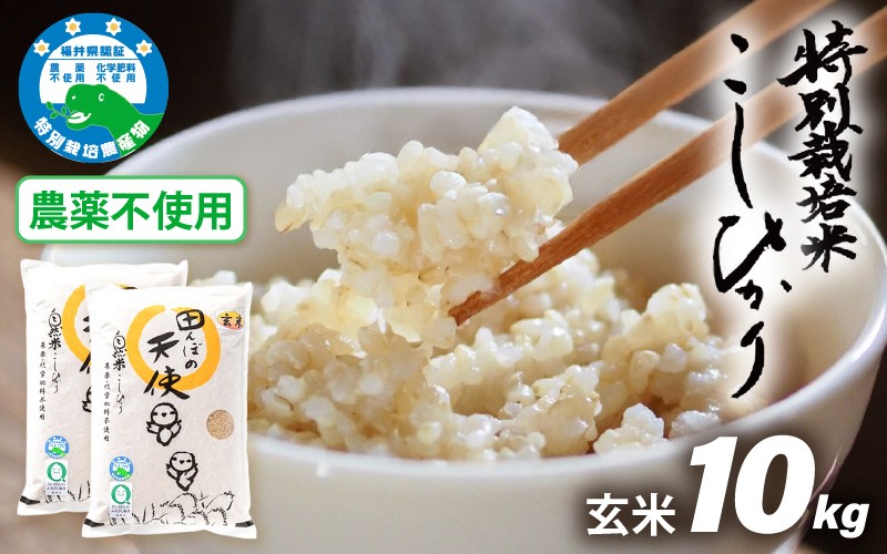 
                  【令和7年産】農薬不使用 特別栽培米コシヒカリ10kg（5kg×2）【玄米】福井県認証区分1取得「田んぼの天使」越前町【10キロ お米 コメ 農薬化学肥料不使用 送料無料】 [e10-d004]
                