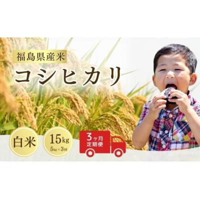 ふるさと納税 南相馬市 【先行予約】定期便 令和8年産 コシヒカリ 白米 15kg ( 5kg ×3回) |米 サムランド