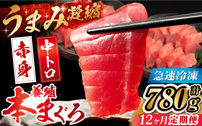 
            【全12回定期便】長崎県産 養殖本まぐろ(赤身・中トロ) 計780g以上  長崎県/まるせん鮪本舗 [42ABAT012] 本マグロ トロ 赤身 刺身 柵 まぐろ 鮪 養殖 中トロ 中とろ 海鮮丼 魚 海鮮 海産物
          