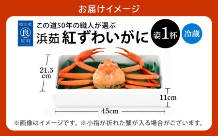 かに 紅ずわいがに≪浜茹で≫ × 1杯 この道50年の職人が選びました！【カニ 蟹 姿 冷蔵 福井県】【3月発送分】 [e04-x013_03] 【紅ズワイガニ 紅ずわい蟹 ボイル】希望日指定可 備考