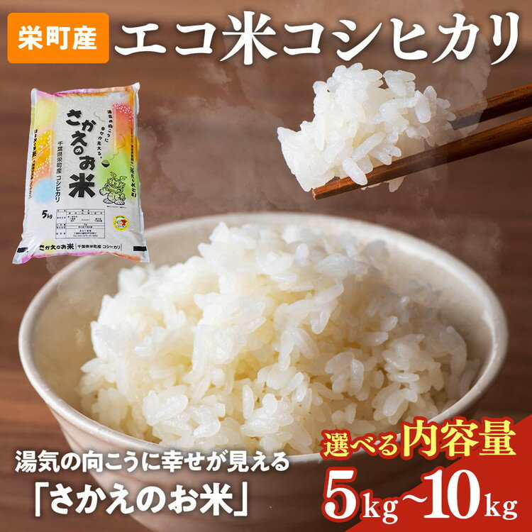 【ふるさと納税】【選べる内容量】令和7年産米（数量限定）ちばエコ認定米 栄町産 コシヒカリ 長谷川農園｜令和7年産 白米 新米 精米 お米 コメ ごはん お弁当 おにぎり 人気 おすすめ ※沖縄・離島への配送不可 15-46 26-2