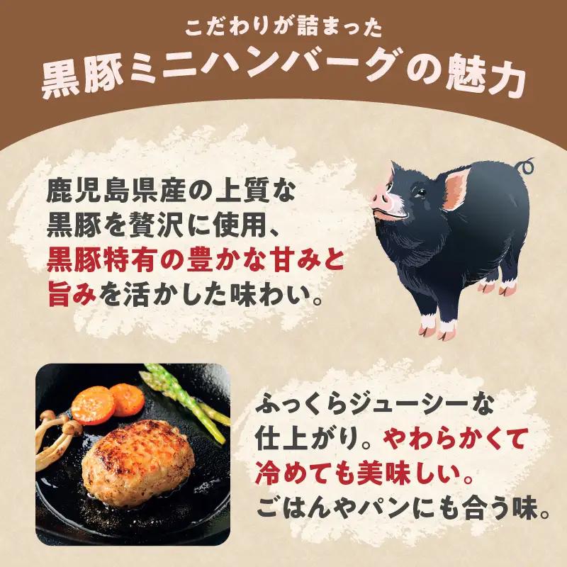 鹿児島県産 黒豚 生ハンバーグ 詰合せ K356-005 肉 豚肉 惣菜 総菜 冷凍
