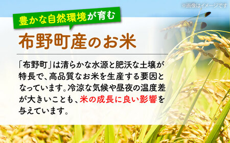 【すぐ届く】令和6年産 米 ミルキーサマー 5kg [APBA030] 令和6年産 ミルキー 令和6年産 ミルキー 