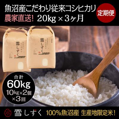 ふるさと納税 十日町市 【毎月定期便】魚沼産こだわり従来コシヒカリ  20kg(10kg×2袋)×3回 合計60kg全3回