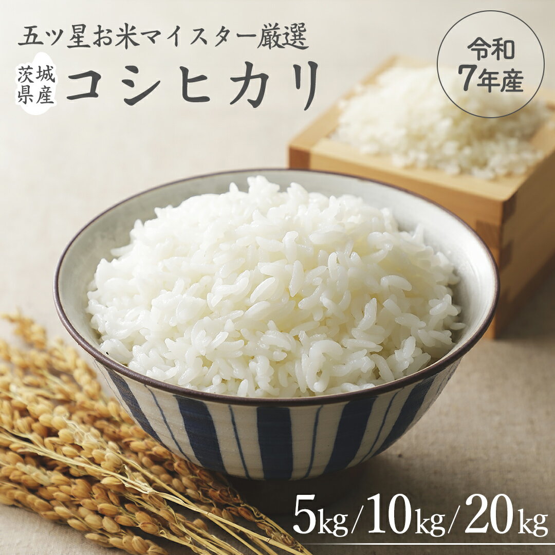【ふるさと納税】《 令和7年産 》 茨城県産 コシヒカリ ＼選べる内容量／ 5kg 10kg 20kg 期間限定 こしひかり 米 コメ こめ 五ツ星 高品質 白米 精米 時短 単一米