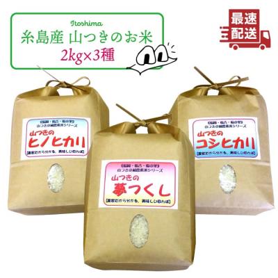 ふるさと納税 糸島市 福吉産 山つきの米 3品種セット( ヒノヒカリ、夢つくし、コシヒカリ)[ABB024]