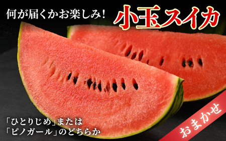 【先行予約】佐藤農園の小玉スイカ・マルセイユメロン セット 計2玉（約3kg～4kg） 秀品 農家直送 有機肥料 低農薬 ※2025年6月上旬より順次発送 [aw069-a004]