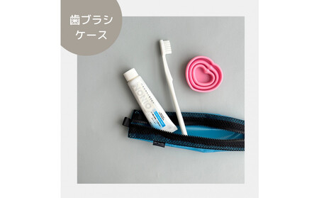 【水色】洗えて清潔！メッシュ×ナイロンのハブラシポーチ