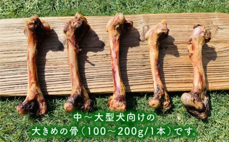 6回定期便　大型犬向け☆天然いのししのスモーク骨ガム3本 わんこin食堂/吉野ヶ里町[FCG071]