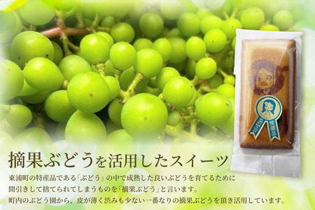 おだいちゃんフィナンシェ（12個入り）│フィナンシェ 焼き菓子 洋菓子 ぶどう 摘果ぶどう mottainai お土産 特産 愛知県 東浦町