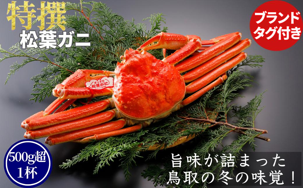 
            【ボイル】特撰 松葉がに（タグ付き）400g超 お手頃サイズ　2杯
          