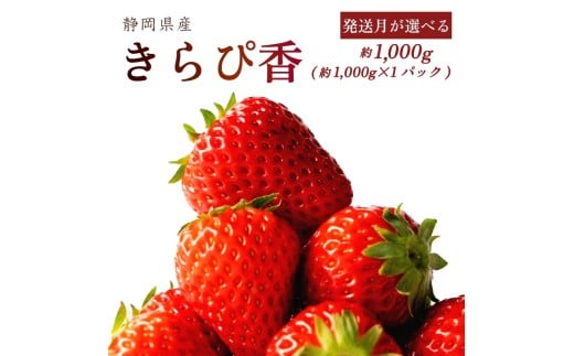 【1~4月発送】 きらぴ香 1000g以上 いちご 1000g×1パック 静岡限定品種 イチゴ 冷蔵発送 苺 1kg 土耕栽培 フルーツ 果物 スイーツ デザート朝摘み ストロベリー おやつ 完熟 直送 ギフト 家庭用 贈答用 贈答 ギフト 贈り物 甘い ブランド ジャム アレンジ 農家直送 ベリー 産地直送 国産 おすすめ 森木農園 静岡県 牧之原市 ~土耕栽培だから濃くて甘い!~