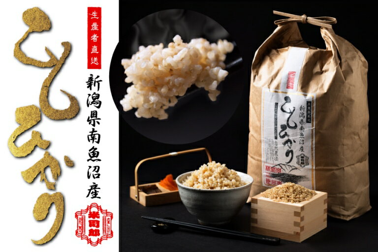【ふるさと納税】【令和7年産】【玄米】自然農法/化学肥料不使用の南魚沼産こしひかり5kg | お米 こめ 食品 コシヒカリ 人気 おすすめ 送料無料 魚沼 南魚沼 南魚沼市 新潟県 玄米 産直 産地直送 お取り寄せ