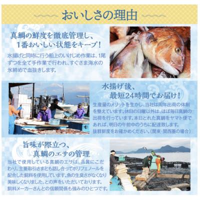 ふるさと納税 沼津市 沼津産　マダイのひもの40袋 |  | 03