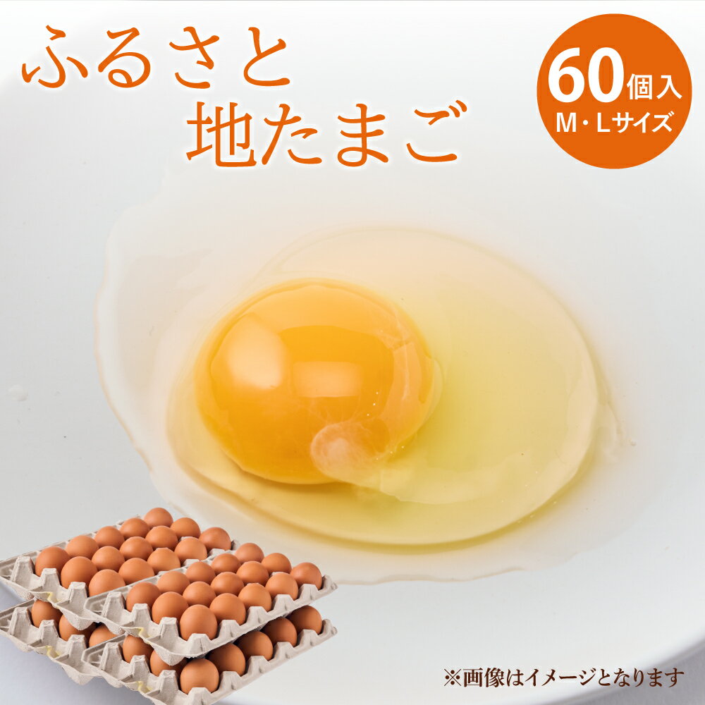 【ふるさと納税】 卵 ふるさと地たまご 60個入り 10個破損補償含む 赤たまご 60個　M・Lサイズ混合