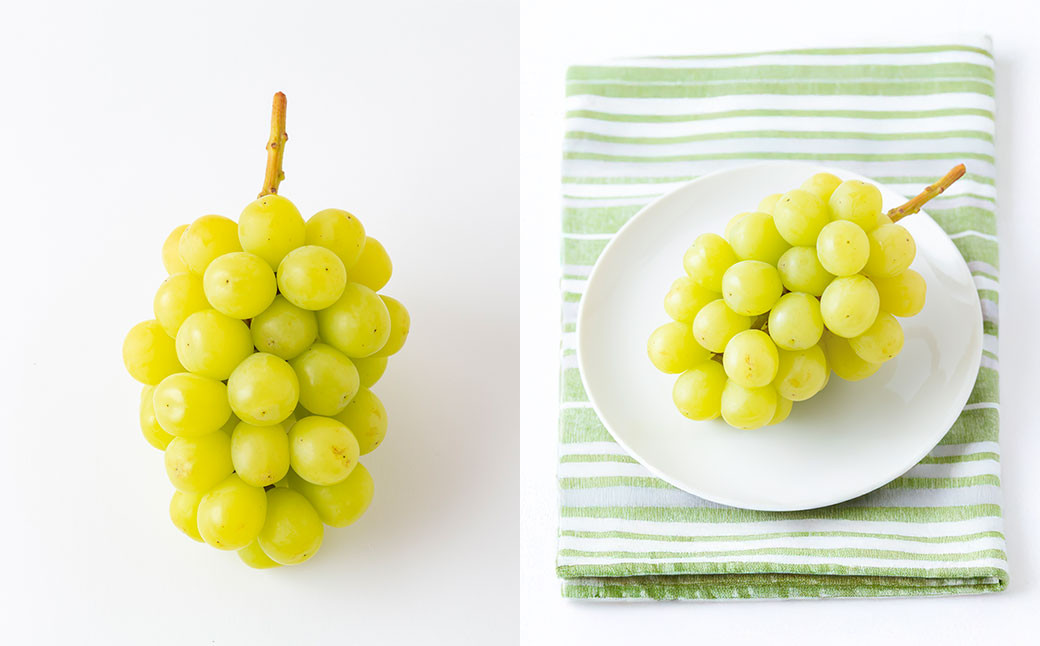 シャインマスカット 3房～5房