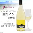 【ふるさと納税】シャルドネ100% 白ワイン 750ml×1本（アルコール度数12％）＜city farm＞【山梨県韮崎市】