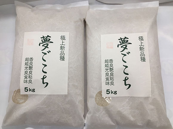 【新米】【7年産】近江米夢ごこち【5kg×2袋】【T035W1】