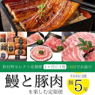 【F90004】＜定期便・全6回＞肝付町セレクト定期便《 鰻5尾と豚肉を楽しむ定期便》 
