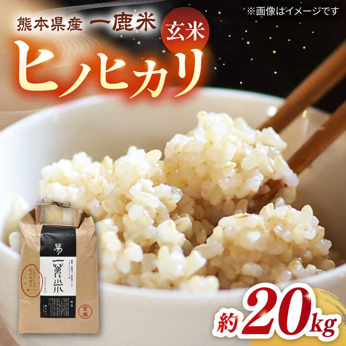 【ふるさと納税】【天日塩を使用】一鹿米 ヒノヒカリ 玄米 20kg【株式会社 夢アグリ】[ZCL004]