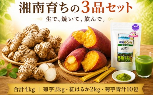 
                  菊芋 きくいも キクイモ 2kg 菊芋青汁10包 イヌリン 食物繊維 粉末 紅はるか さつまいも 2kg 食べ比べ 焼き芋 土付き 掘りたて 新鮮 ホクホク 甘い 野菜 先行予約 11月上旬以降発送 産地直送 農家直送 八〇八 神奈川 湘南 藤沢
                
