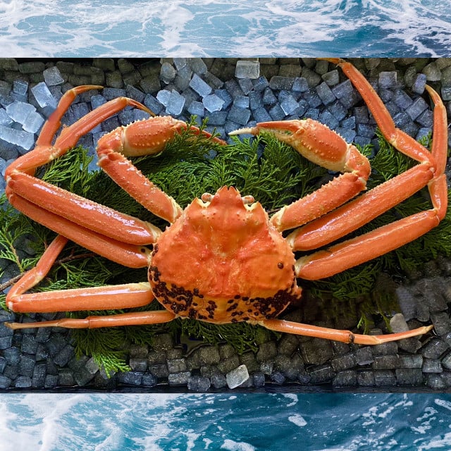 
            【蒸し】ご自宅用松葉ガニ　大　１枚(800～940ｇ前後)  【※配送日時指定可】
          