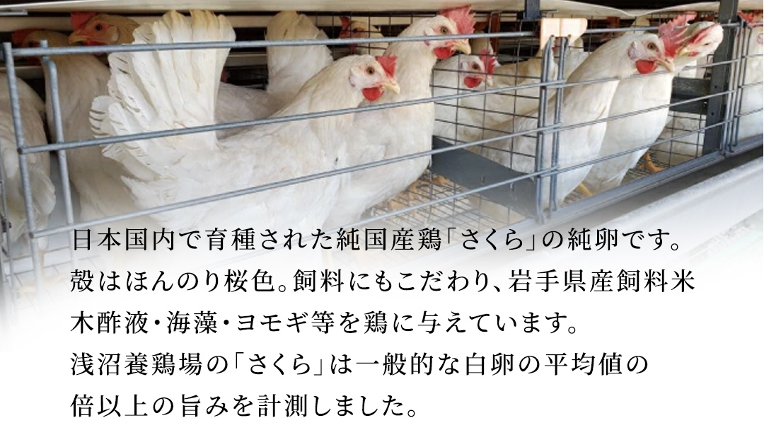 純国産鶏【さくら】純たまご30個入り (破損保証5個含む)【3ヶ月連続お届け】 (AJ028)