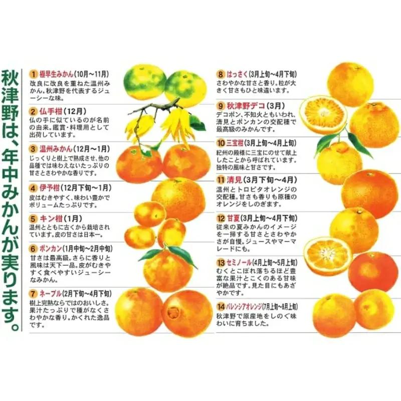 季節毎の柑橘ジュース500ml×6本セット / 和歌山 和歌山県産 田辺市 温州みかん 不知火 デコポン バレンシアオレンジ みかんジュース 100％ジュース オレンジジュース【ktr003-4】