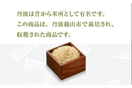 【玄米・令和7年産】 丹波篠山産 こしひかり 玄米 （3kg×2袋 計6kg） 玄米 コシヒカリ Q003