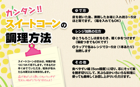 【先行予約】村田さんち朝どれスイートコーン『ゴールドラッシュ』約8㎏　西都市産＜1.2-21＞2024年初夏発送