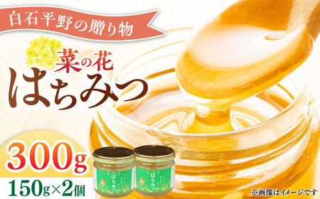 菜の花はちみつ150g×2本 / はちみつ [IAA020]