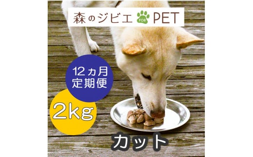 定期便 森のジビエ for PET 鹿肉カット2kg×12回 A-JK-D03A