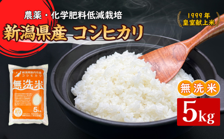 16-M51新潟県胎内市産コシヒカリ【無洗米】5kg