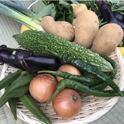 ふるさと納税 潮来市 【ハーフサイズ】『身体が喜ぶ野菜』詰め合わせ(おまかせ)潮来はぐくみのもり |  | 02