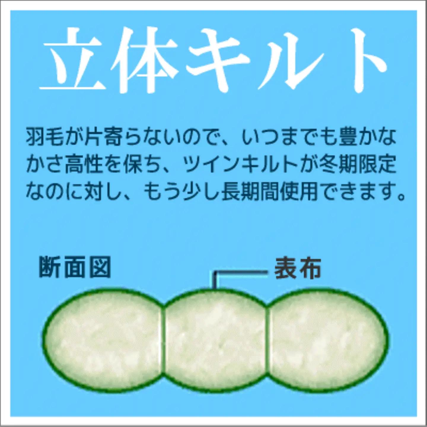 クイーン【プレミアムゴールドラベル】コウダ種ポーランドマザーグース95％羽毛｜ 掛け布団 【新津】