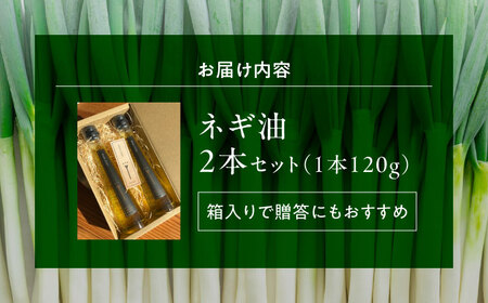 白ネギ農家が作る ネギ油 2本セット 調味料 ギフト オイル 三次市/Agri Lore Lab.[APAT001]