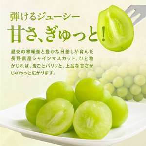 氷温貯蔵 長野県産 シャインマスカット 約1kg 秀品 〈2026年11月上旬～12月下旬発送〉| 長野県 飯田市