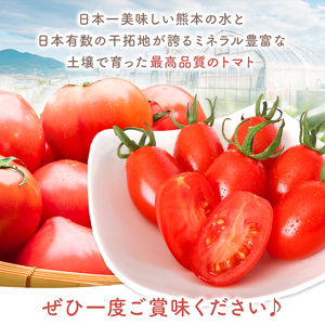 ミニトマト生産量 日本一 玉名市 !！ 「 トマ・ランタン 」 約 3kg  | ミニトマト トマト 熊本県 玉名市