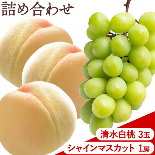 【ふるさと納税】【2025年先行予約】清水 白桃 3玉 計約900g（1玉約300g）シャインマスカット 晴王 1房 550g以上 もも 葡萄 詰合せ 岡山 国産 フルーツ 果物 ギフト 桃茂實苑《7月中旬-8月中旬頃出荷》岡山県 浅口市 フルーツ ぶどう 桃 果物 青果【配送不可地域あり】