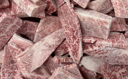 【全12回定期便】【訳あり】佐賀牛 切落し 焼肉 500kg / ブランド牛 黒毛和牛 牛肉 / 佐賀県 / 有限会社片岡精肉店 [41AEAC006]