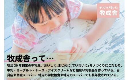 【定期便 6回】飛騨産生乳100％ 牛乳1L × 6本 ｜ 乳製品 牛乳 牧成舎 DF106